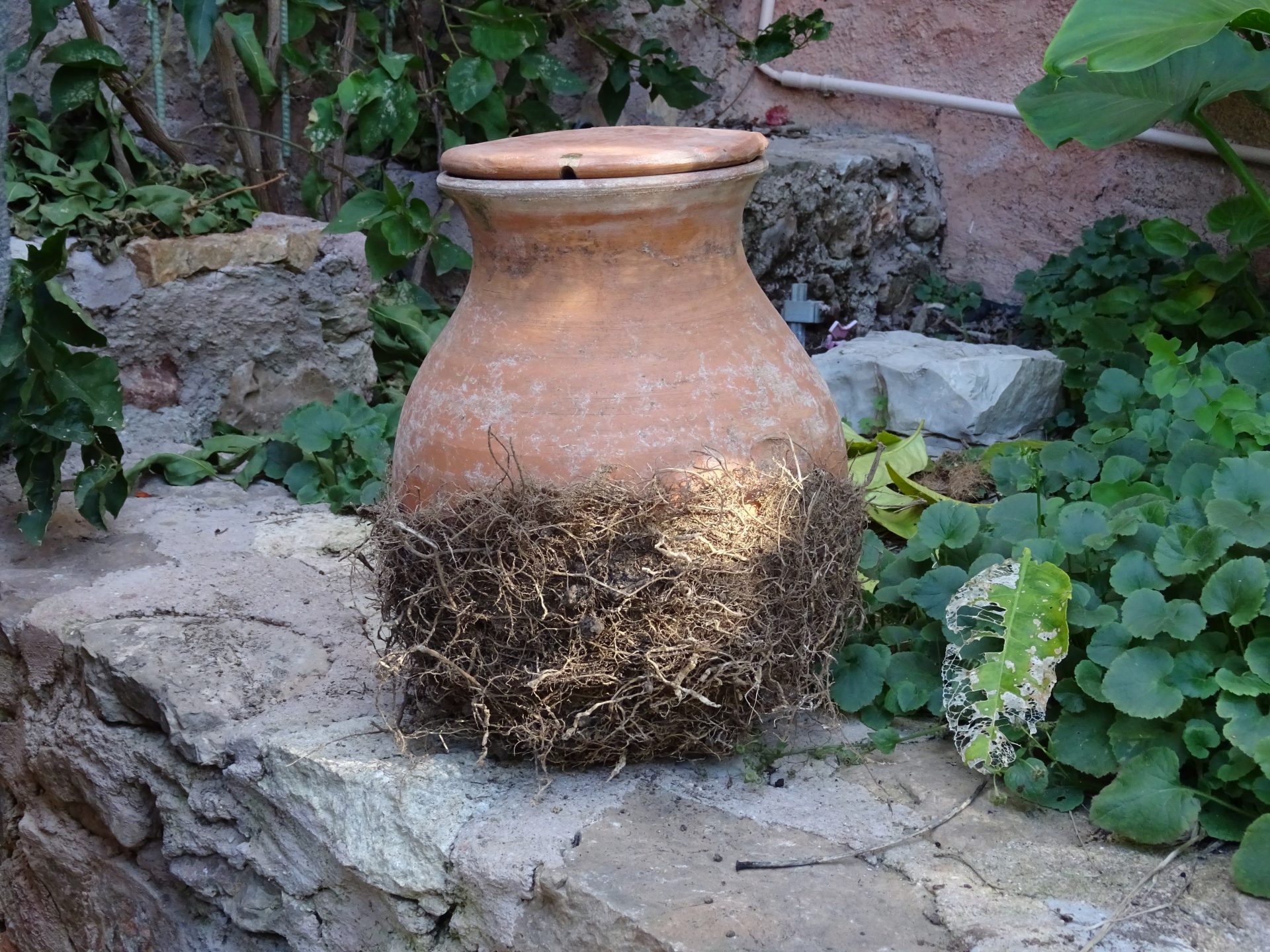 dsc00432 dsc00432